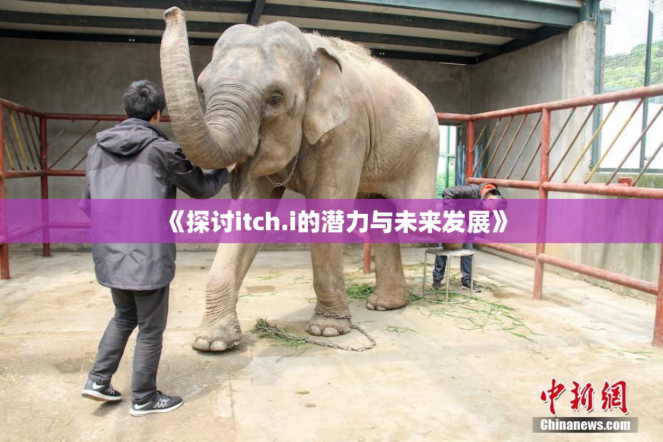 《探讨itch.i的潜力与未来发展》