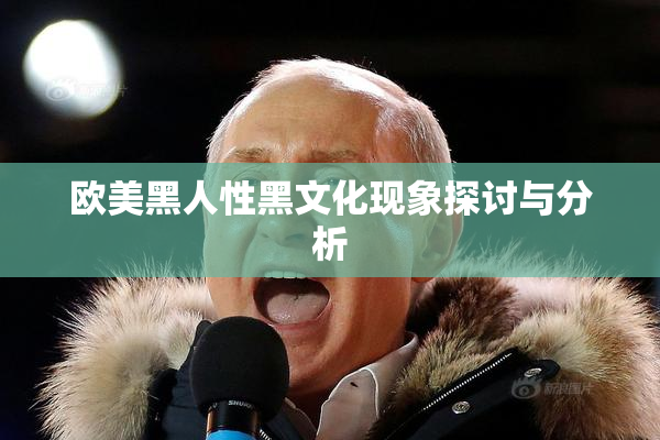 欧美黑人性黑文化现象探讨与分析