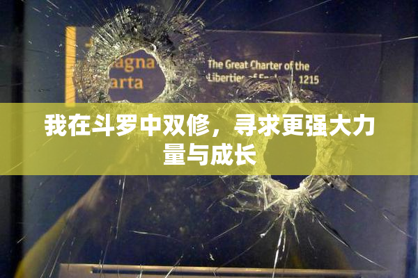 我在斗罗中双修，寻求更强大力量与成长