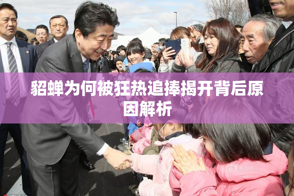 貂蝉为何被狂热追捧揭开背后原因解析