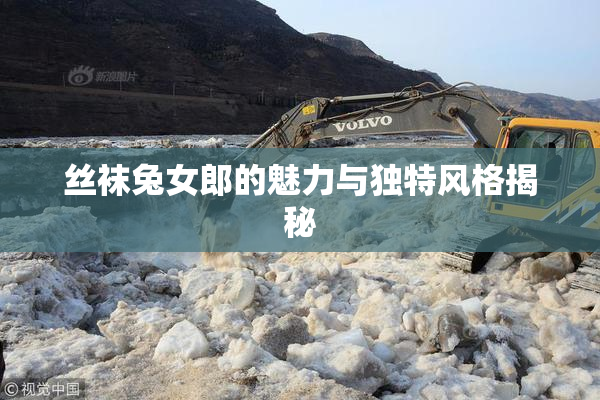 丝袜兔女郎的魅力与独特风格揭秘