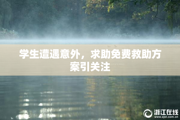 学生遭遇意外，求助免费救助方案引关注