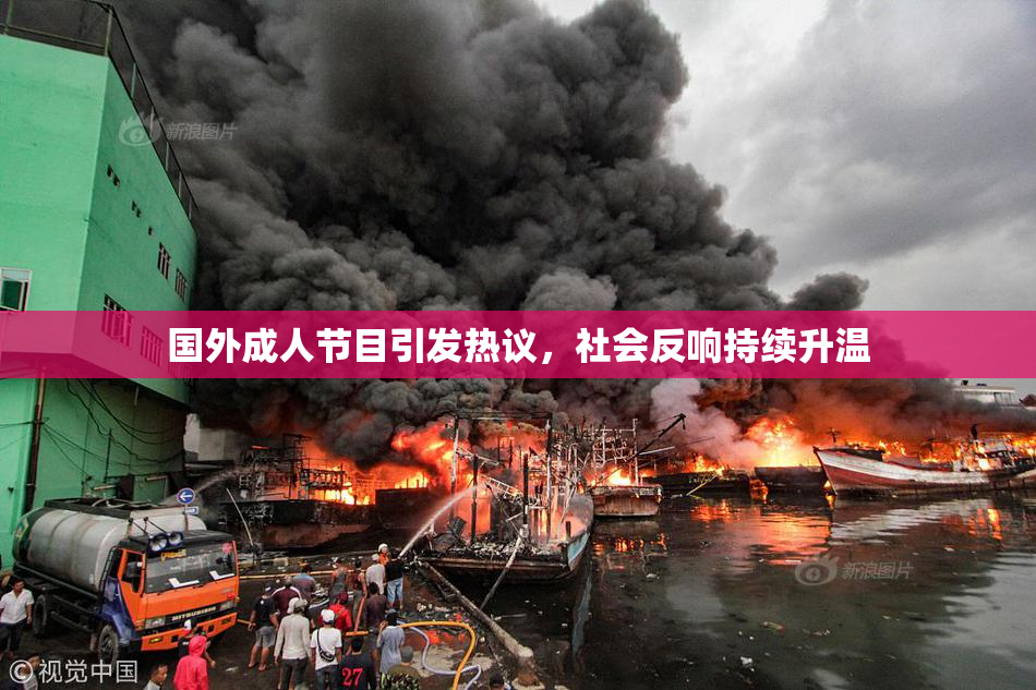 国外成人节目引发热议，社会反响持续升温