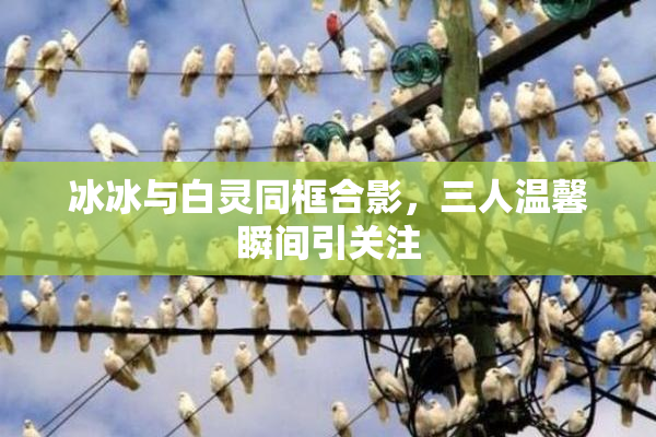 冰冰与白灵同框合影，三人温馨瞬间引关注