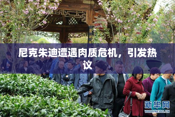 尼克朱迪遭遇肉质危机，引发热议