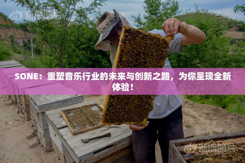 SONE：重塑音乐行业的未来与创新之路，为你呈现全新体验！