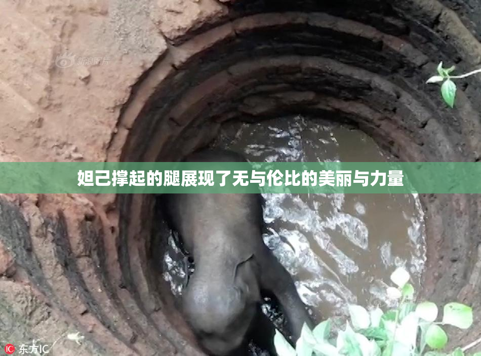 妲己撑起的腿展现了无与伦比的美丽与力量