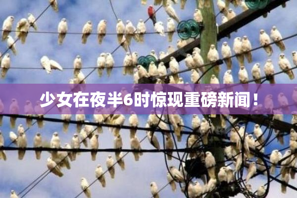 少女在夜半6时惊现重磅新闻！