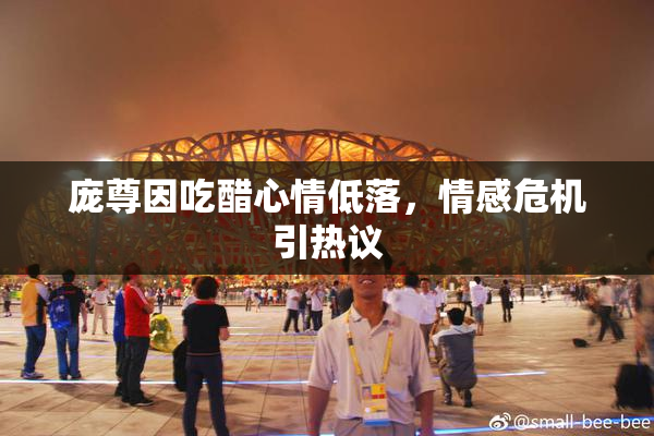 庞尊因吃醋心情低落，情感危机引热议