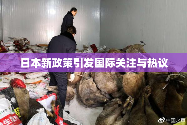 日本新政策引发国际关注与热议