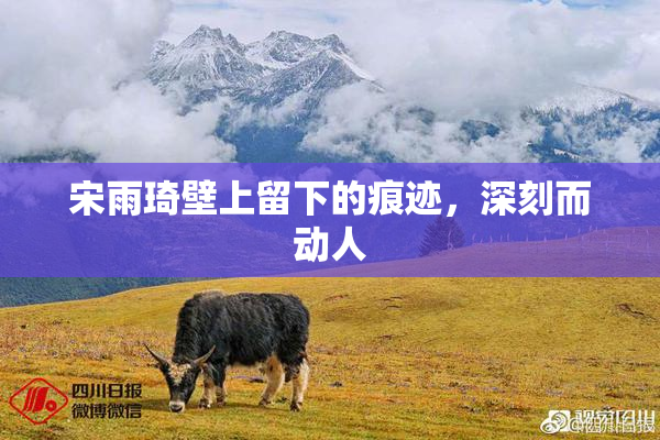 宋雨琦壁上留下的痕迹，深刻而动人