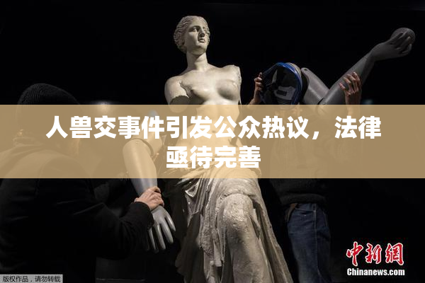人兽交事件引发公众热议，法律亟待完善