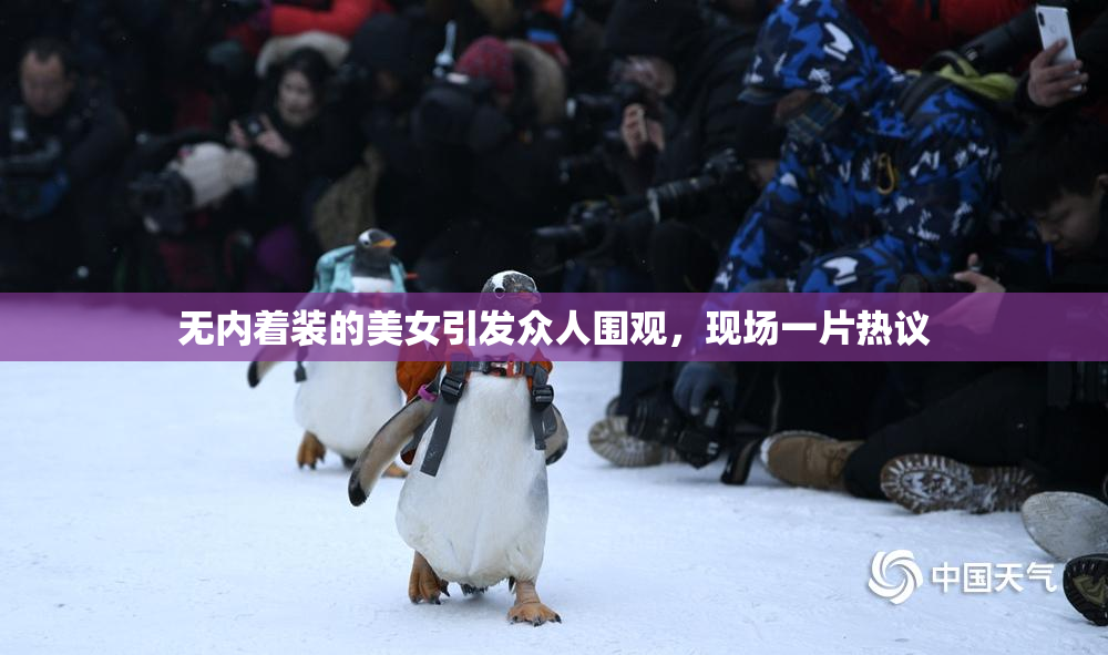 无内着装的美女引发众人围观，现场一片热议