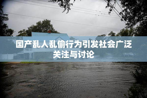国产乱人乱偷行为引发社会广泛关注与讨论