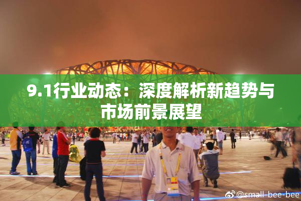 9.1行业动态：深度解析新趋势与市场前景展望