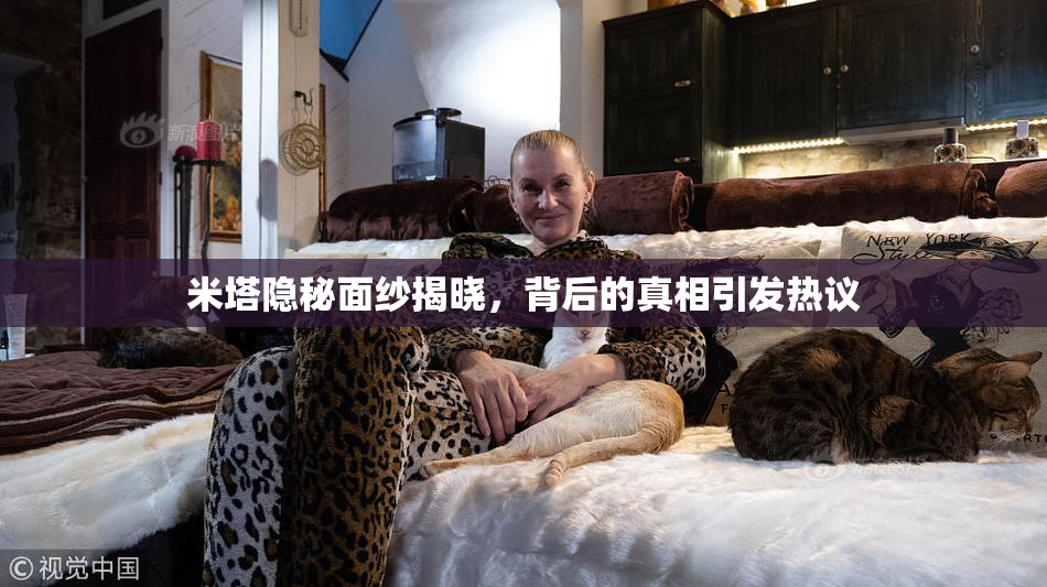 米塔隐秘面纱揭晓，背后的真相引发热议