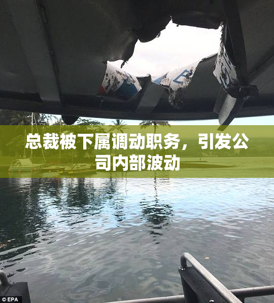 总裁被下属调动职务，引发公司内部波动