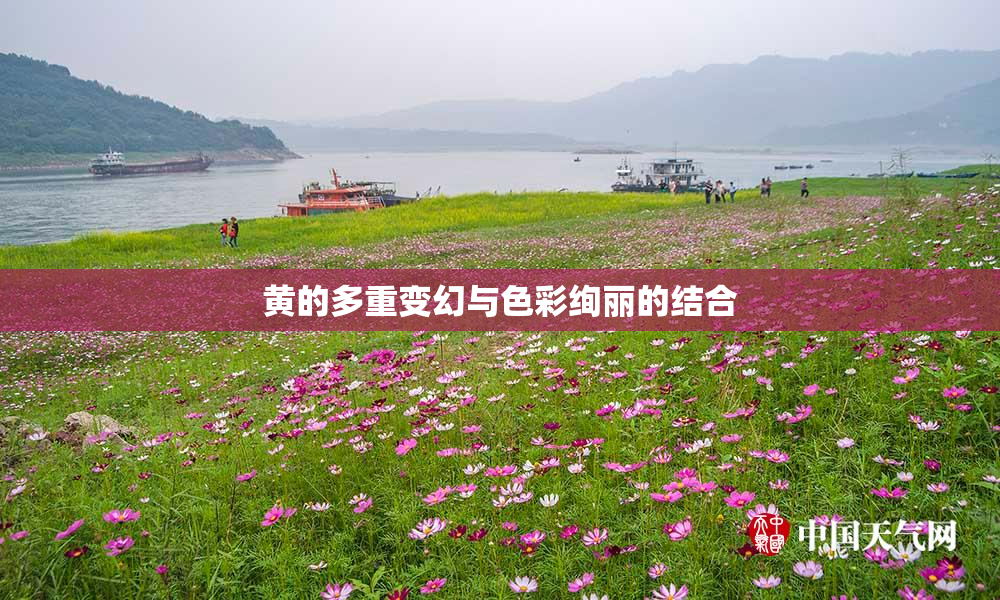 黄的多重变幻与色彩绚丽的结合