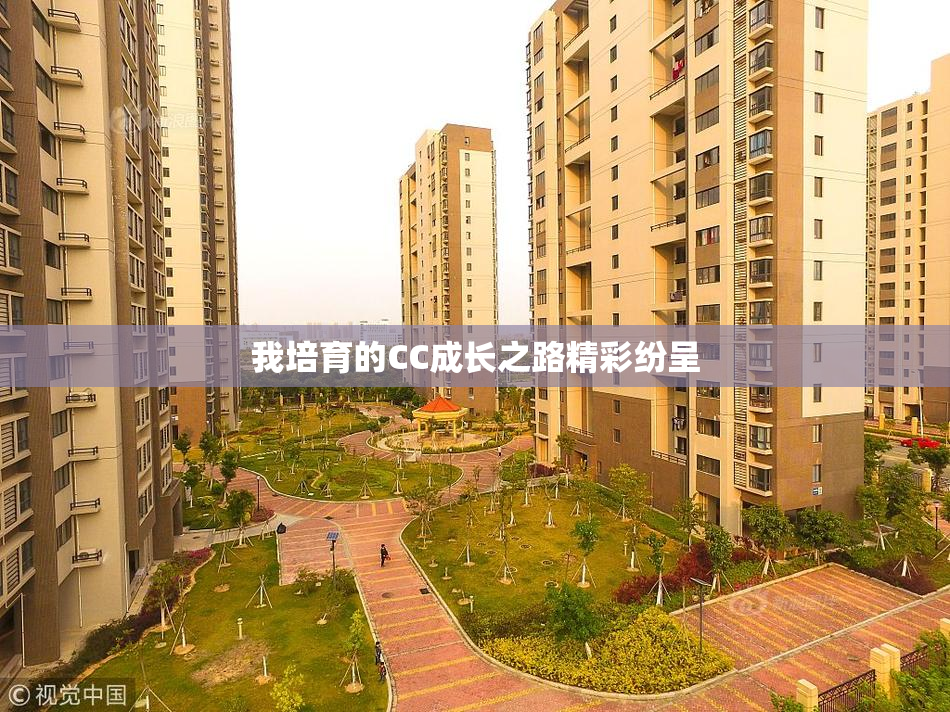 我培育的CC成长之路精彩纷呈