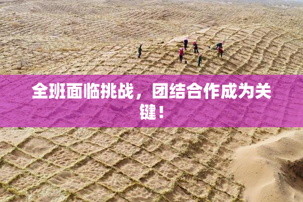 全班面临挑战，团结合作成为关键！