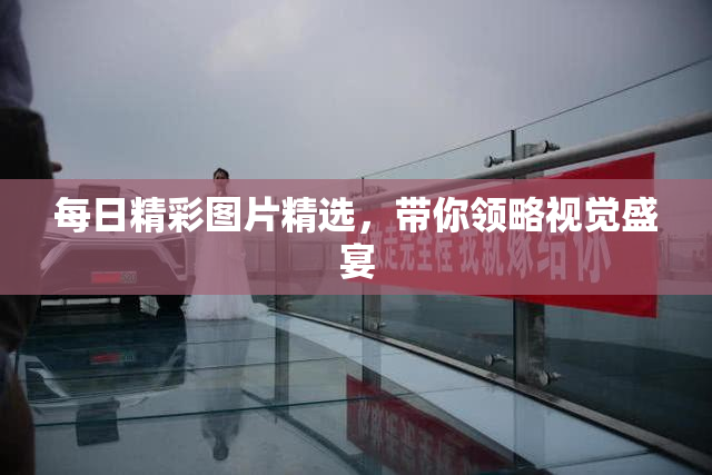 每日精彩图片精选，带你领略视觉盛宴