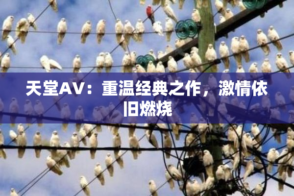 天堂AV：重温经典之作，激情依旧燃烧