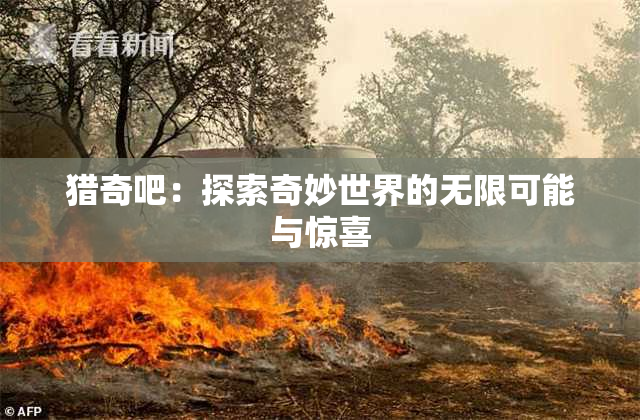 猎奇吧：探索奇妙世界的无限可能与惊喜