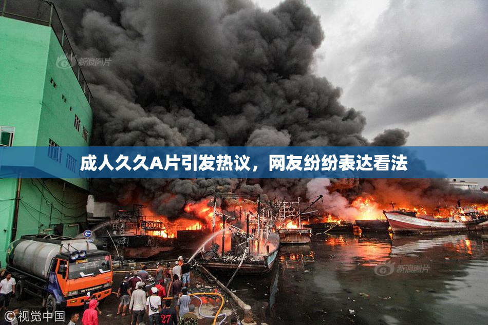 成人久久A片引发热议，网友纷纷表达看法