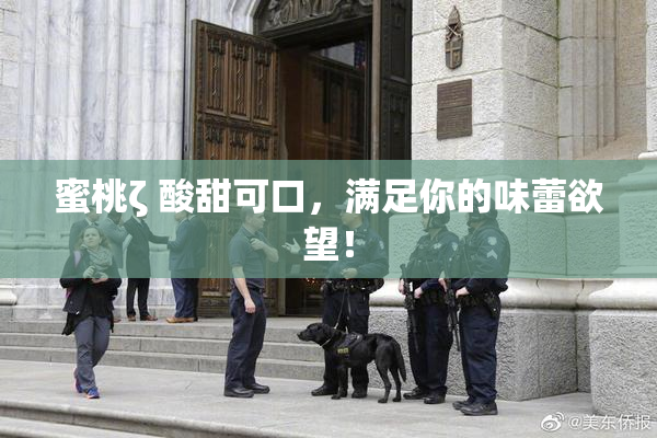 蜜桃ζ 酸甜可口，满足你的味蕾欲望！