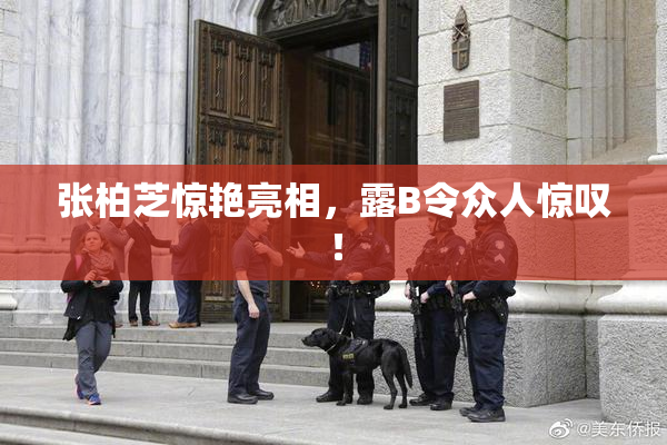 张柏芝惊艳亮相，露B令众人惊叹！