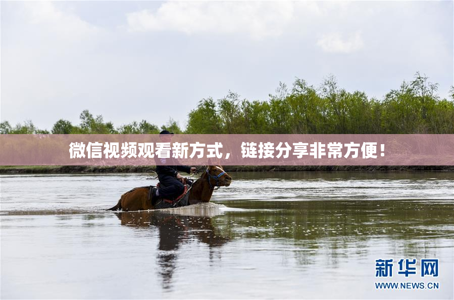 微信视频观看新方式，链接分享非常方便！