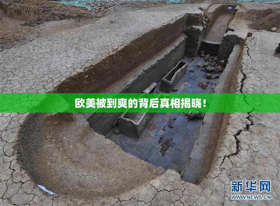 欧美被到爽的背后真相揭晓！