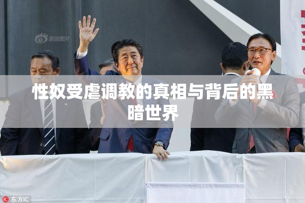 性奴受虐调教的真相与背后的黑暗世界