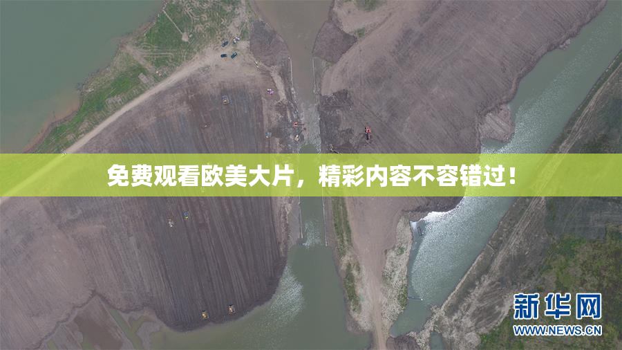 免费观看欧美大片，精彩内容不容错过！