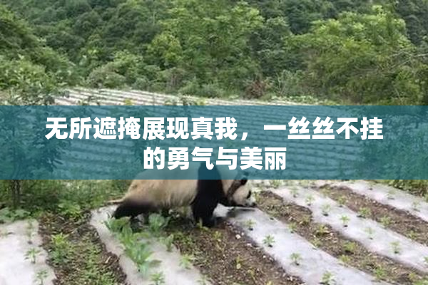 无所遮掩展现真我，一丝丝不挂的勇气与美丽