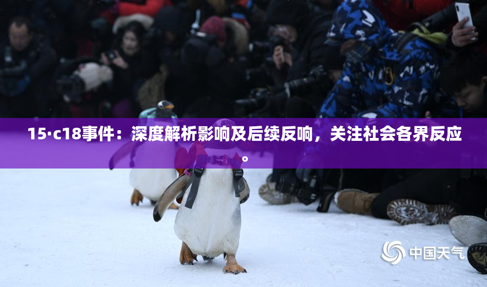 15·c18事件：深度解析影响及后续反响，关注社会各界反应。