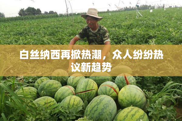 白丝纳西再掀热潮，众人纷纷热议新趋势