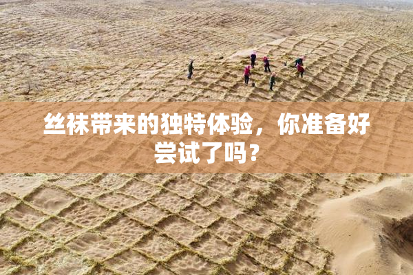 丝袜带来的独特体验，你准备好尝试了吗？