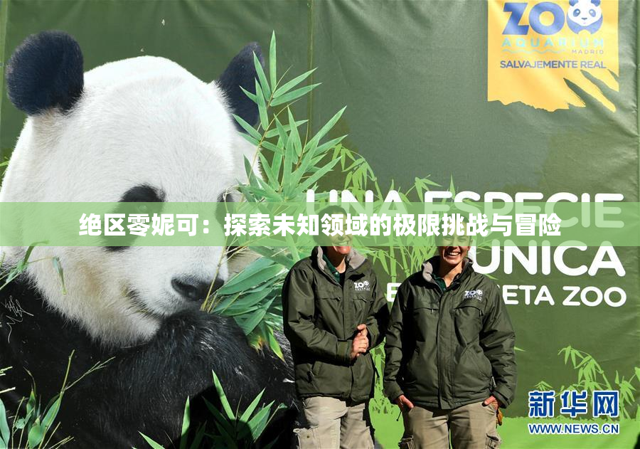 绝区零妮可：探索未知领域的极限挑战与冒险