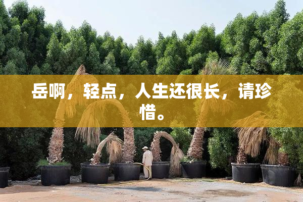 岳啊，轻点，人生还很长，请珍惜。