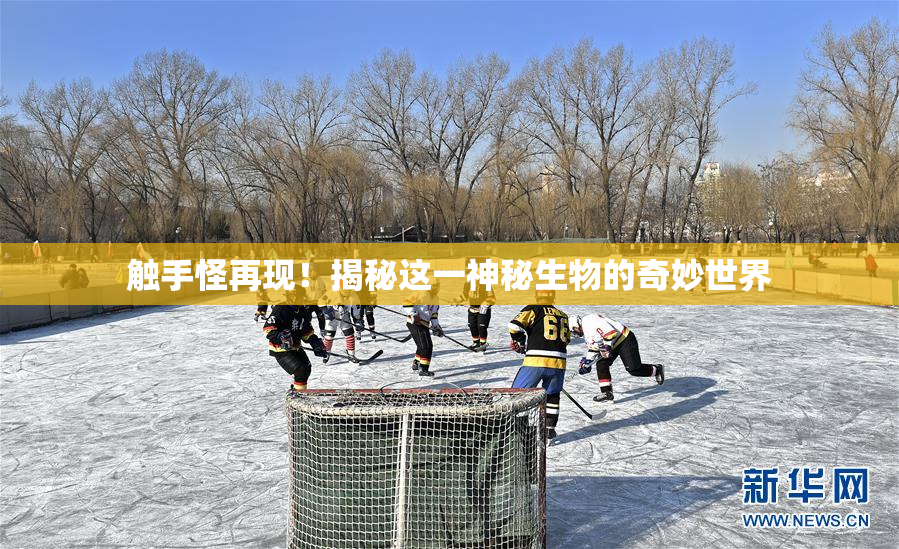 触手怪再现！揭秘这一神秘生物的奇妙世界