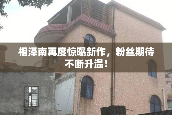 相泽南再度惊曝新作，粉丝期待不断升温！