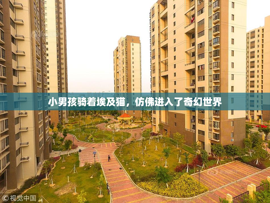 小男孩骑着埃及猫，仿佛进入了奇幻世界