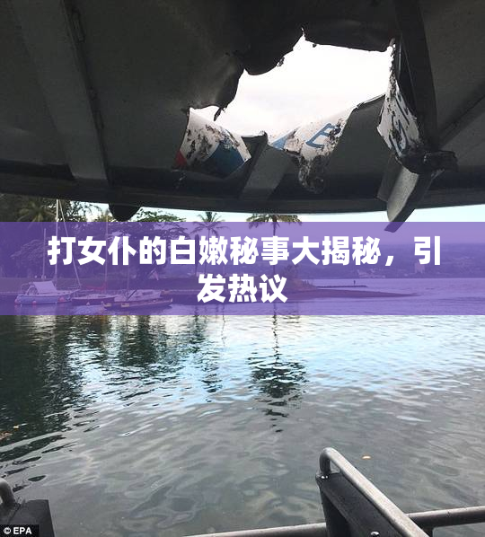 打女仆的白嫩秘事大揭秘，引发热议