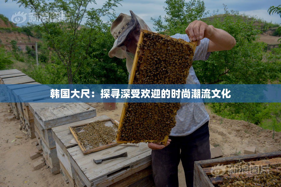 韩国大尺：探寻深受欢迎的时尚潮流文化