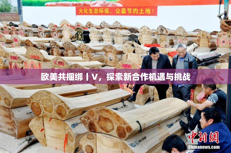 欧美共捆绑丨V，探索新合作机遇与挑战