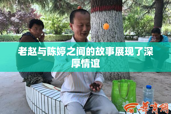 老赵与陈婷之间的故事展现了深厚情谊