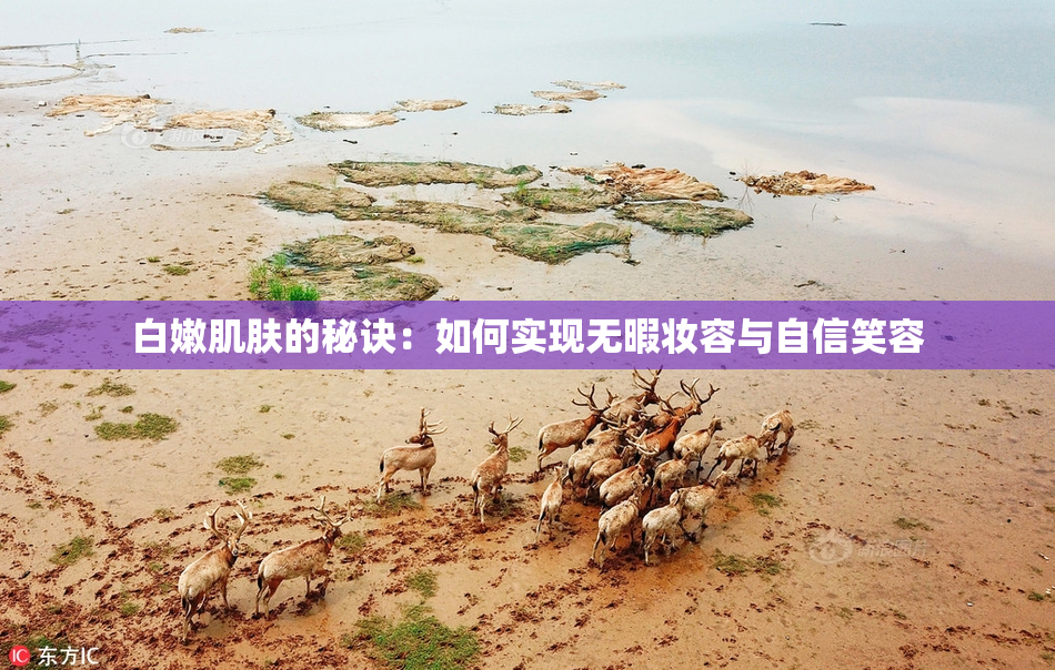 白嫩肌肤的秘诀：如何实现无暇妆容与自信笑容