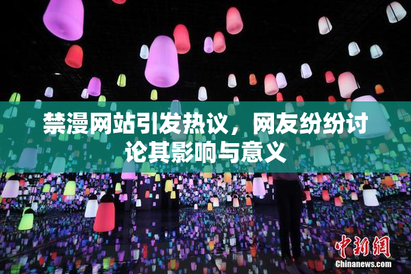 禁漫网站引发热议，网友纷纷讨论其影响与意义