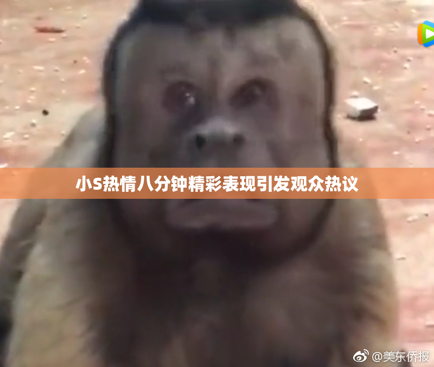 小S热情八分钟精彩表现引发观众热议